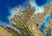 Mackenzie River Delta,satellite image