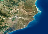 Mahanadi River Delta,satellite image