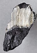 Asbestos mineral