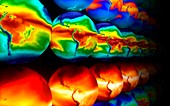 Global water vapour simulation
