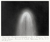 Drawing of the Great Comet of 1881