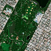 Central Park museums,satellite image