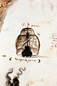 Vasco da Gama's flagship of 1497
