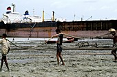 Shipyard workers,Bangladesh