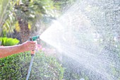 Watering a garden