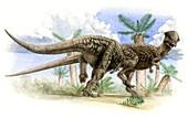 Pachycephalosaurus wyomingensis dinosaurs