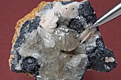 Cerusite mineral sample