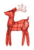 Christmas reindeer,X-ray