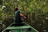 Flooded tropical rainforest,Amazonia