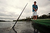 Throwing a fishing spear,Amazonia