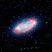 Spiral galaxy NGC 2976,infrared image