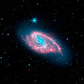 Spiral galaxy M66,infrared image