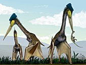 Azhdarchid pterosaurs hunting,artwork