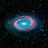 Spiral galaxy NGC 4725,infrared image