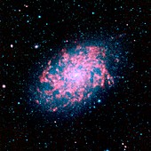 Spiral galaxy NGC 7793,infrared image