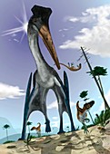 Azhdarchid pterosaur hunting,artwork