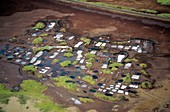 Hawaii salt pans,aerial photograph