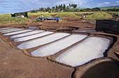 Hawaii salt pans
