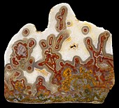 Lysite agate