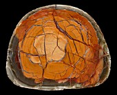 Siam Siding agate