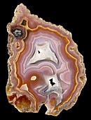 Agua Nueva agate