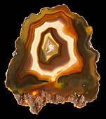 Condor agate