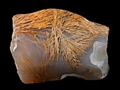 Sagenitic agate