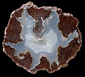 Succor Creek thunder egg agate