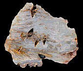 Sagenitic agate