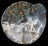 Omineca agate