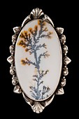 Mounted India dendritic agate