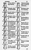 Diagnosis from urine,16th century