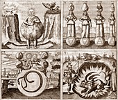 Emblems from Mylius' Philosophia reformat