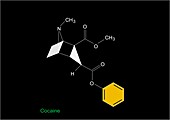 Cocaine molecule