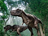 Tyrannosaurus rex dinosaurs