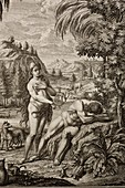1731 Scheuchzer Creation Adam's rib & Eve