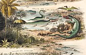 1849 The antidiluvian world crop Jurassic