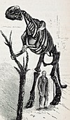 1868 Waterhouse Hawkins & hadrosaur