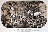1869 Central Park Dinosaurs Hawkins full