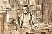 1883 Richard Owen's study ex BMNH