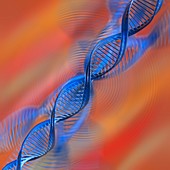 DNA double helix,artwork
