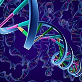 DNA molecular structure,artwork