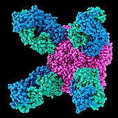 Flu virus surface protein and antibody