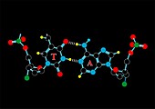 DNA nucleotides,artwork