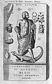 Egyptian god Anubis,17th century