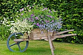 Wooden wheelbarrow planter