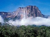 Angel Falls,Venezuela