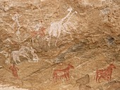 Pictograph of humans and animals,Libya