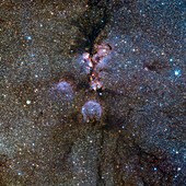 Cat's Paw nebula (NGC 6334)