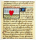 Cardiac treatise,15th century